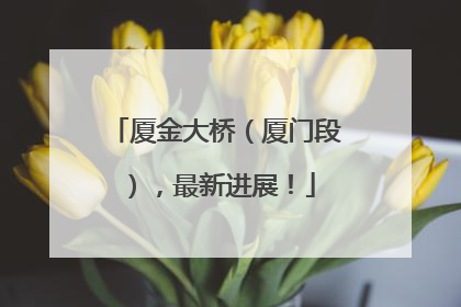 厦金大桥（厦门段），最新进展！